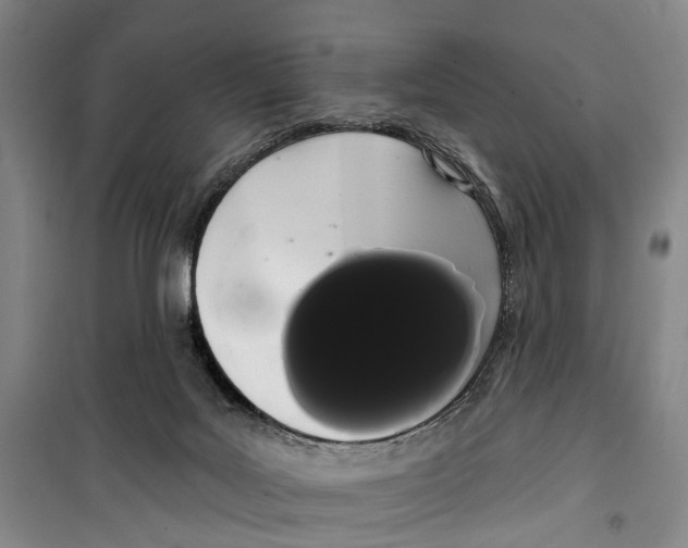X0000099380027200806051131