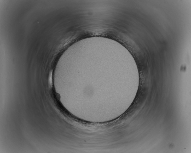 X0000099380028200806051131