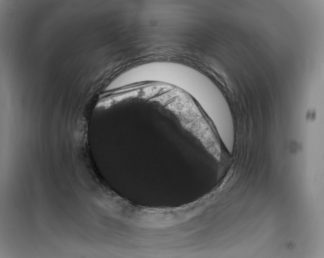 X0000099380029200806051131