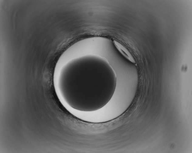 X0000099380031200806051131