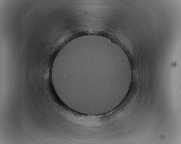 X0000099380032200806051131