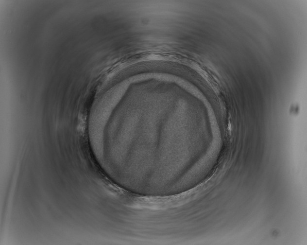 X0000099380033200806051131