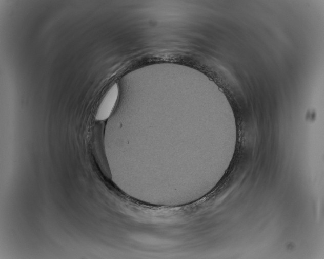 X0000099380036200806051131