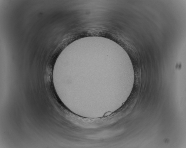 X0000099380038200806051131