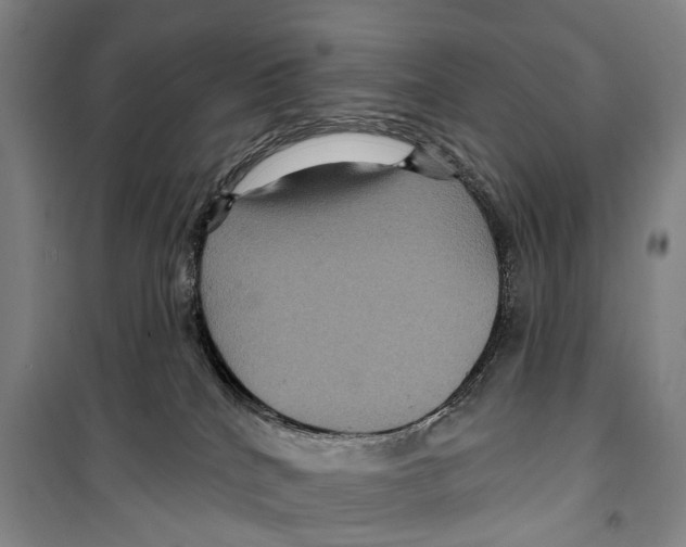 X0000099380040200806051131