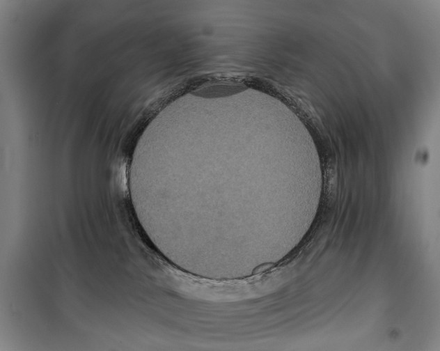 X0000099380042200806051131
