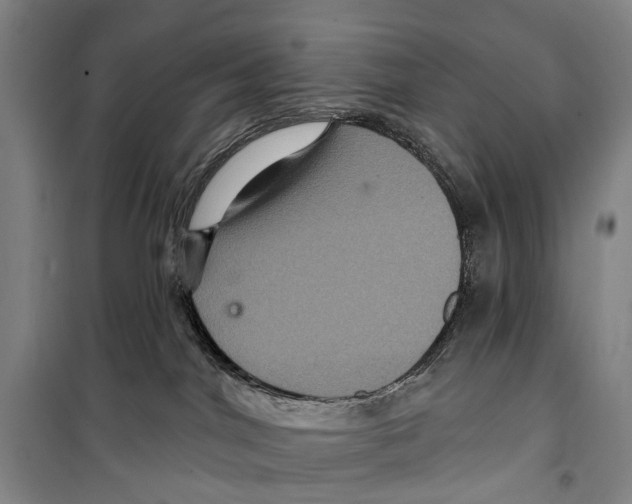 X0000099380044200806051131