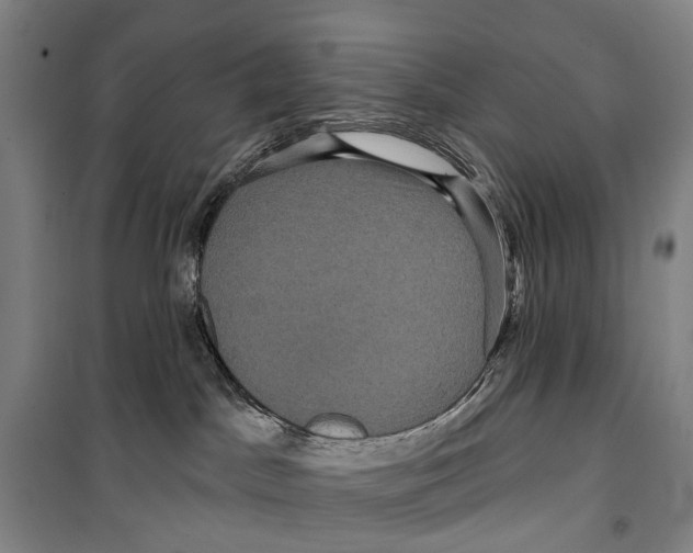 X0000099380045200806051131