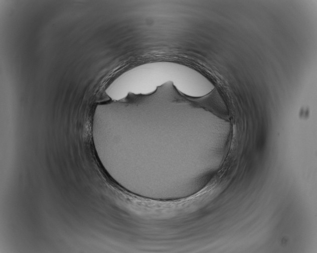 X0000099380048200806051131