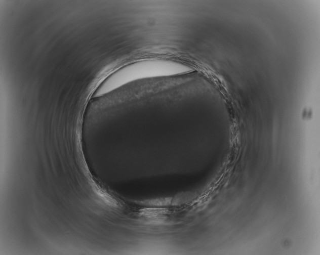X0000099380051200806051130