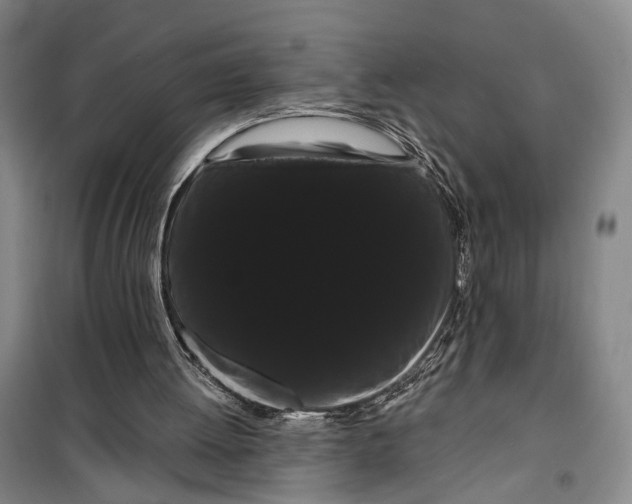 X0000099380052200806051130