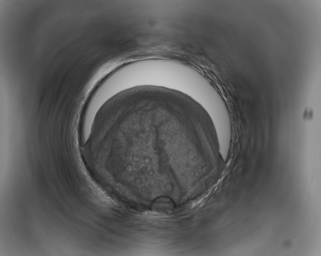 X0000099380054200806051130