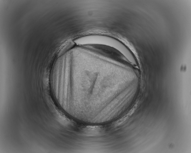 X0000099380057200806051130