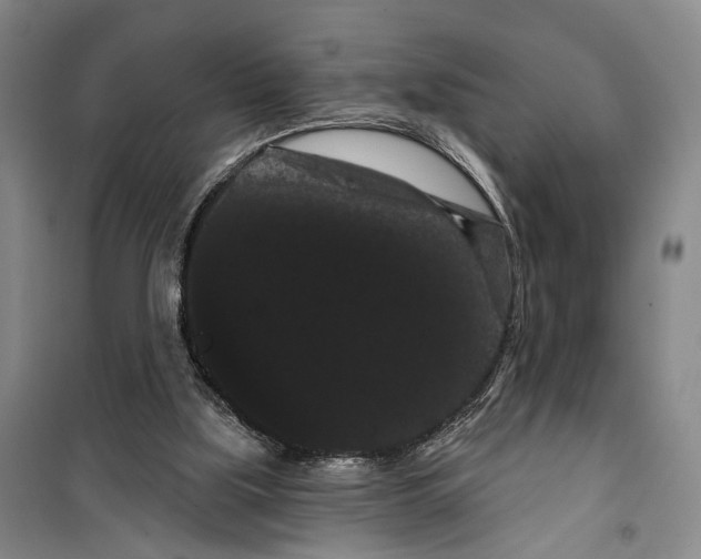 X0000099380059200806051130