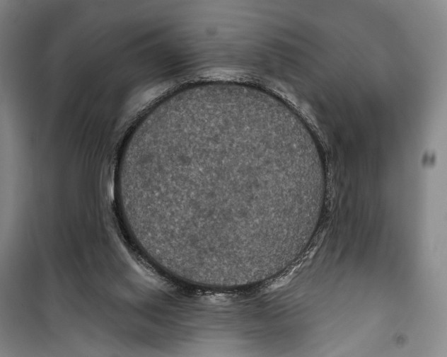 X0000099380062200806051130