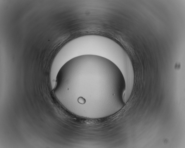 X0000099380070200806051130