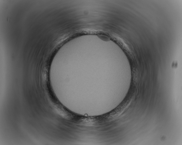 X0000099380071200806051131