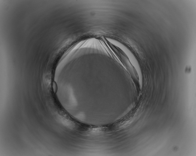 X0000099380072200806051131