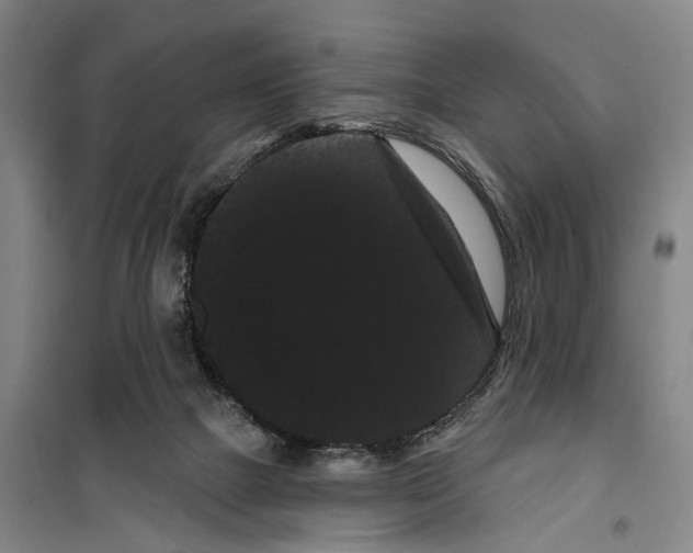X0000099380073200806051131