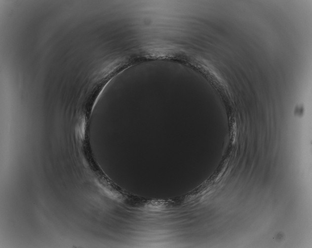 X0000099380076200806051131