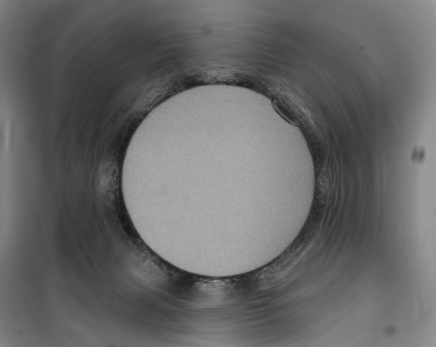 X0000099380079200806051131