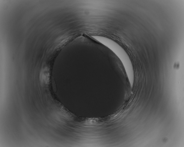 X0000099380080200806051131