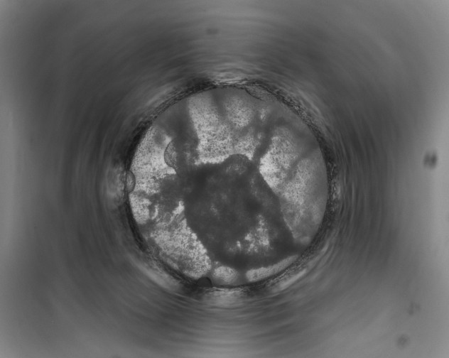 X0000099380081200806051131