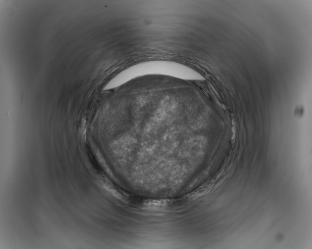 X0000099380084200806051131
