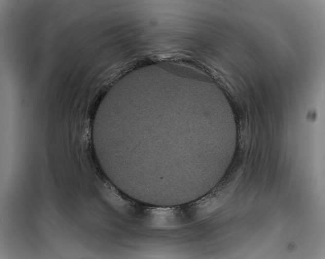 X0000099380085200806051131