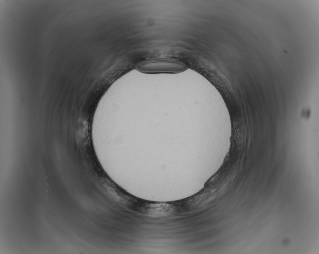 X0000099380087200806051131