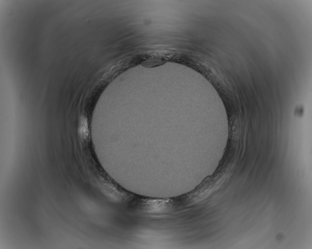 X0000099380089200806051131