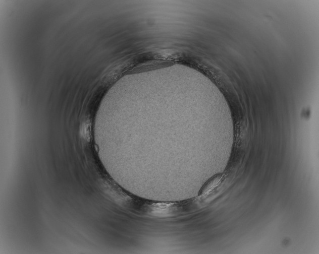 X0000099380090200806051131