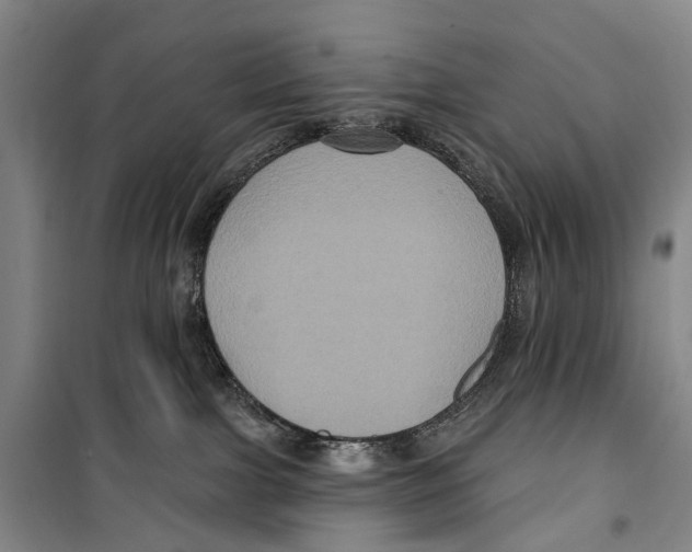 X0000099380091200806051131