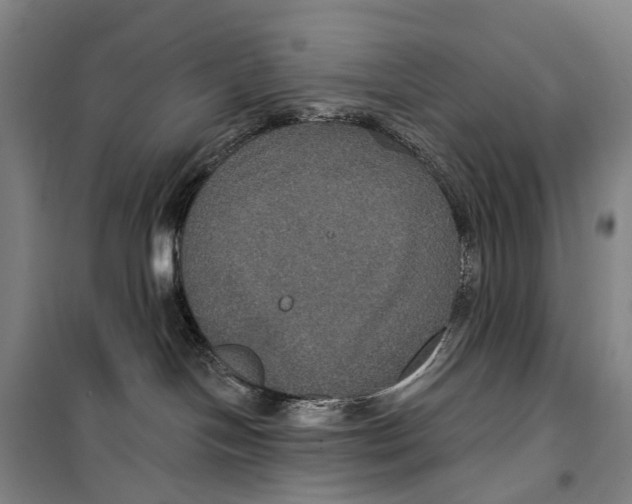 X0000099380094200806051131