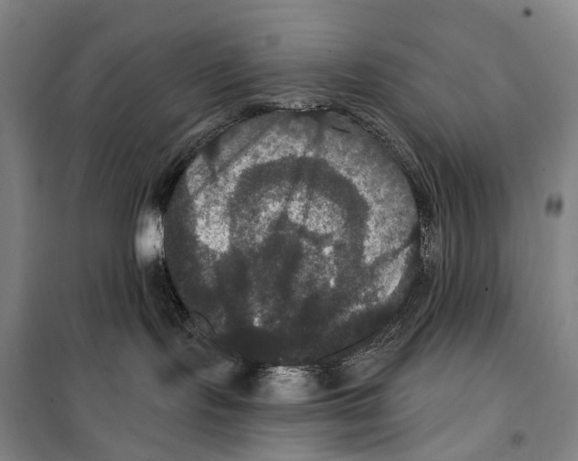 X0000099380095200806051131