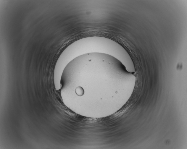 X0000099380096200806051131