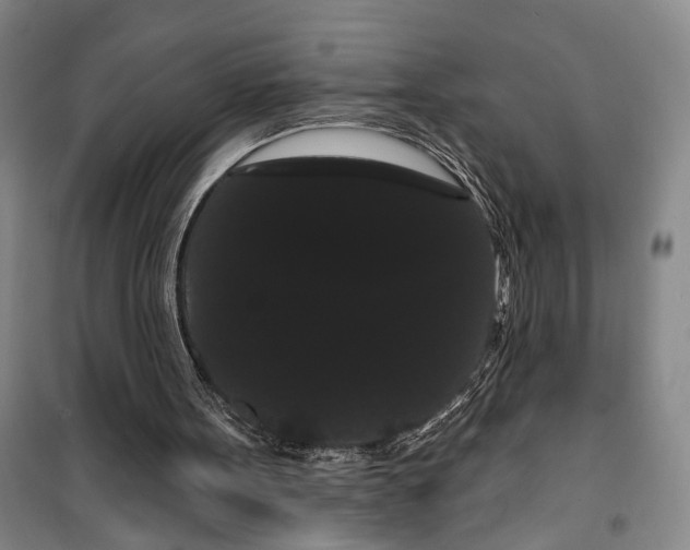 X0000099380099200806051130