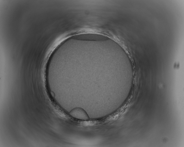 X0000099380103200806051130