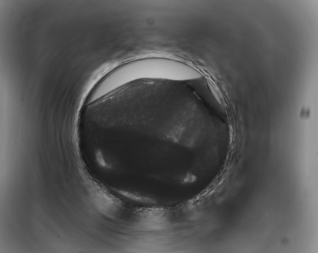 X0000099380104200806051130