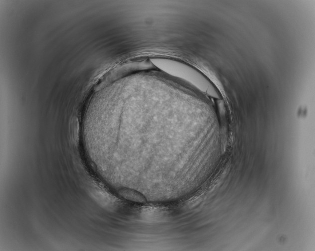 X0000099380109200806051130