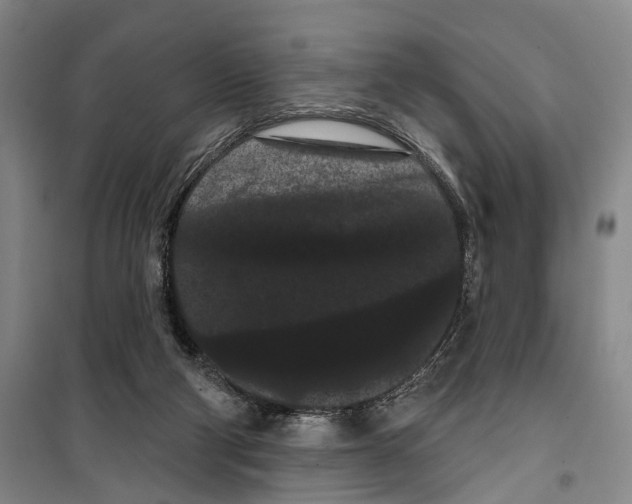 X0000099380114200806051130