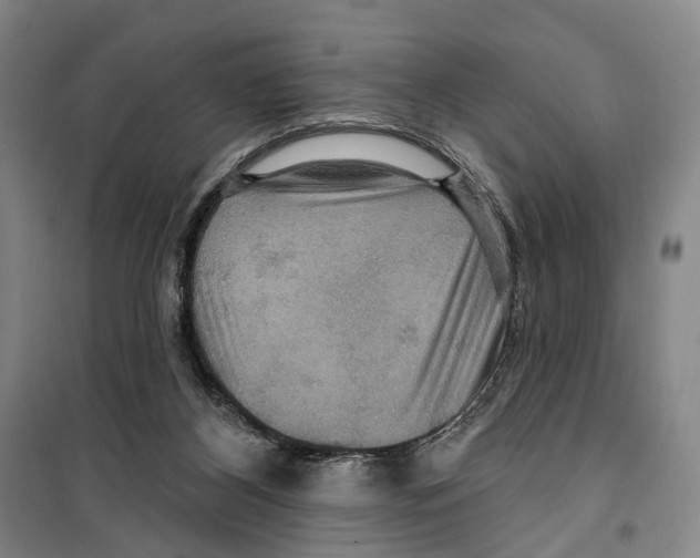 X0000099380116200806051130