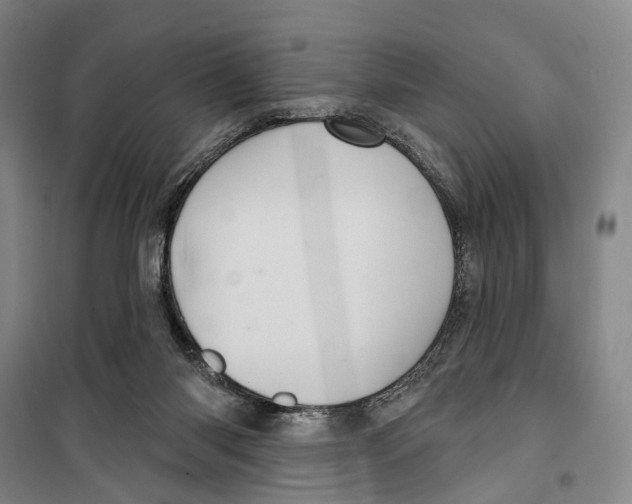 X0000099380118200806051130