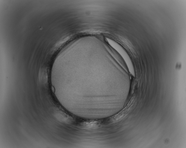 X0000099380120200806051130