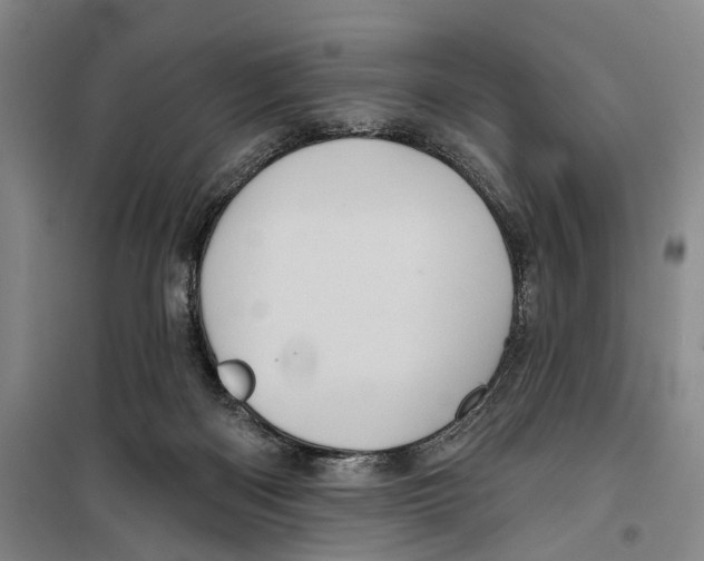 X0000099380122200806051130