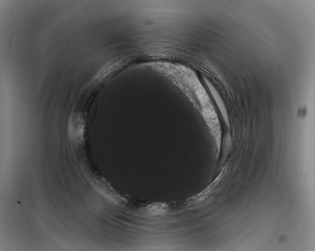 X0000099380124200806051130