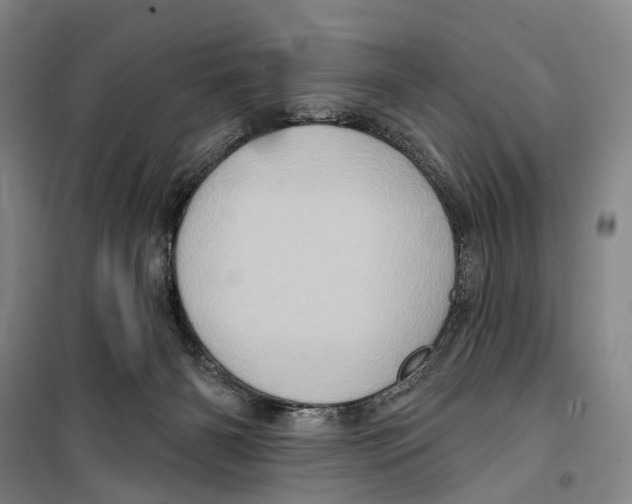 X0000099380126200806051130