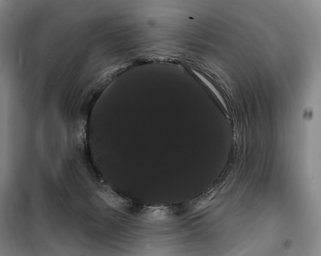 X0000099380127200806051130