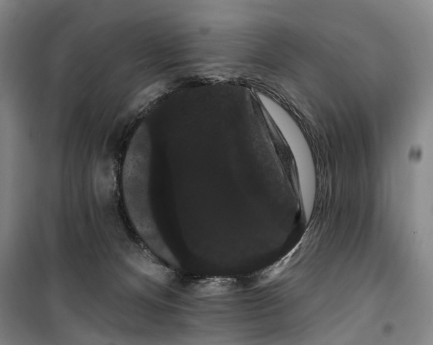 X0000099380128200806051130
