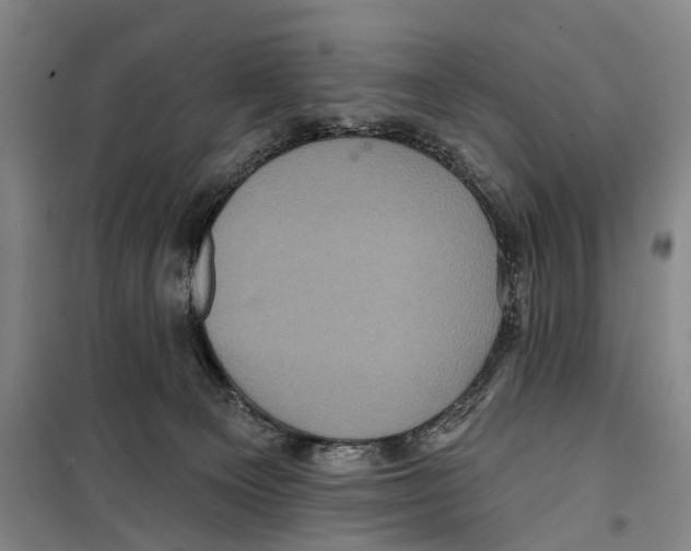 X0000099380129200806051130